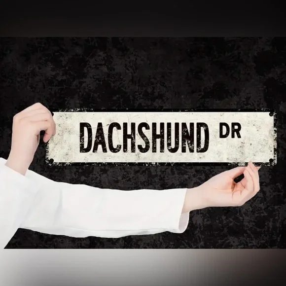 NEW Dachshund Drive Street Sign - Picture 2 of 3